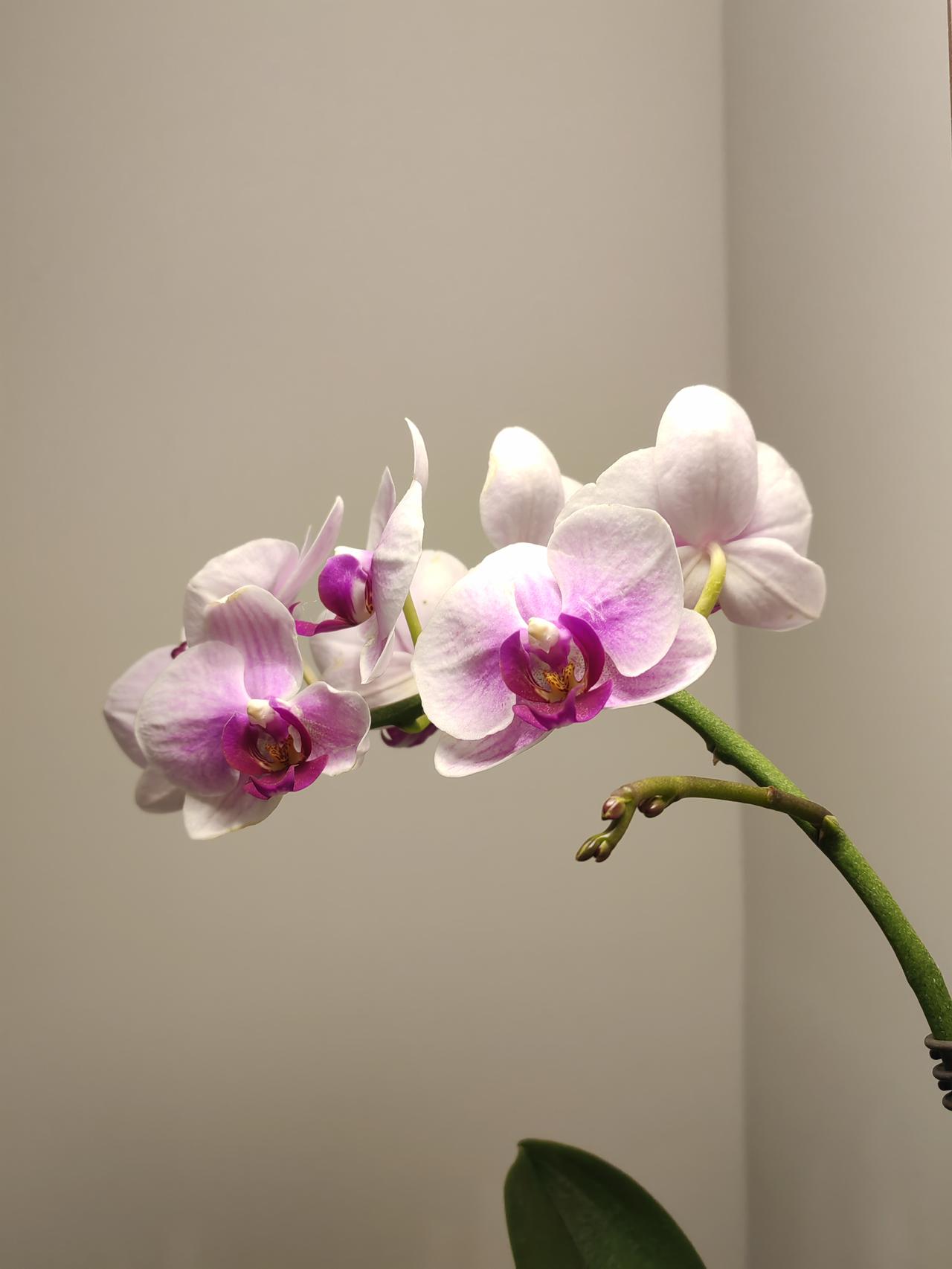 给我妈打完电话后，我立马把这月的500块钱，给她转了过去。

昨晚十点多，我妈给