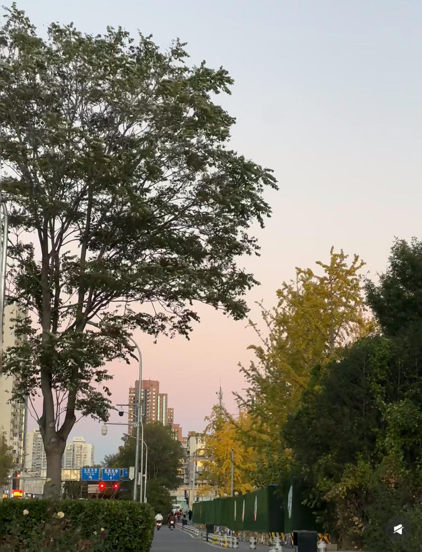 杜强的消失，压根不是沉默或逃避，这分明是一场带着锋芒的静默对峙！

电视剧里知情