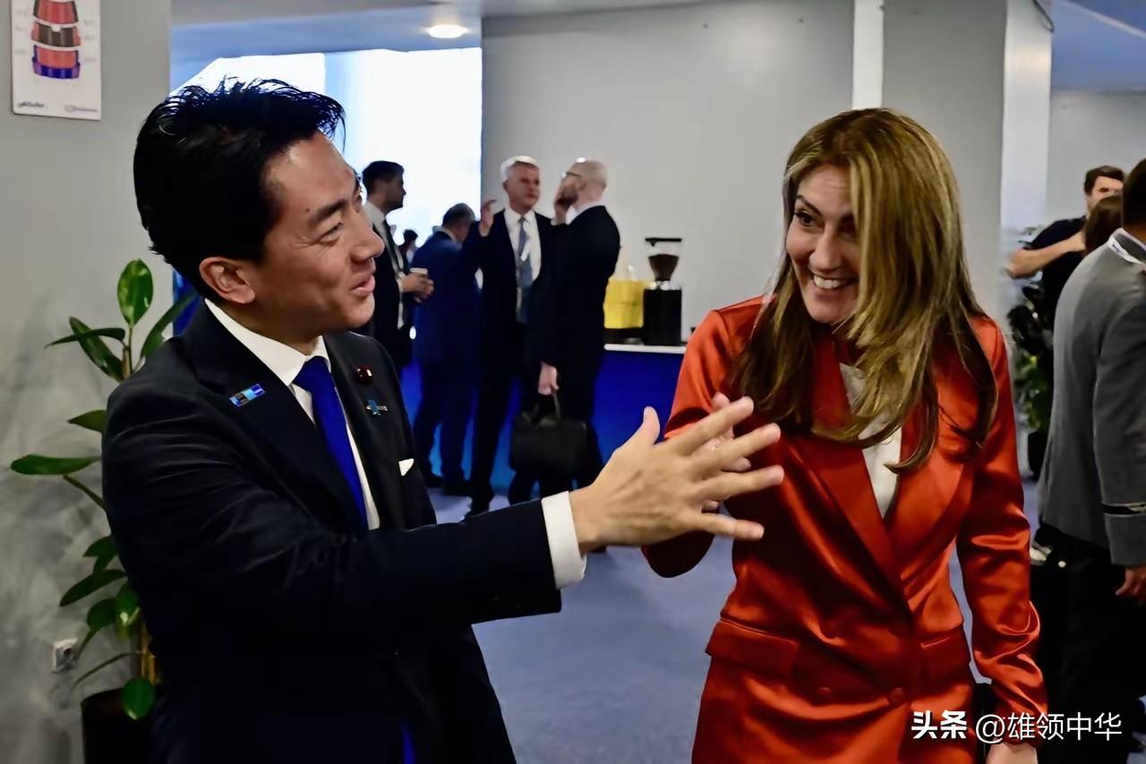 峰会变“约会”，在土耳耳召开的北约峰会的主要议题是军事安全，而日本防卫大臣小泉进