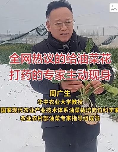 砖家说油菜花期要喷洒农药，造成蜜蜂大面积死亡。会有什么灾难性后果？
 
如果蜜蜂