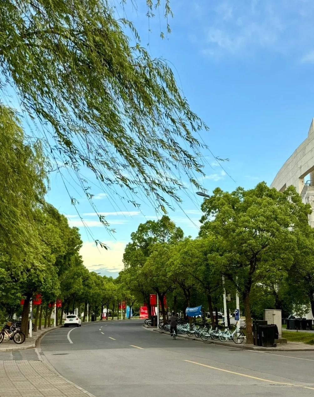 高铁上，一男一女挨着座位。男生主动开口：“小姐姐，你气质真好，能不能加个微信认识