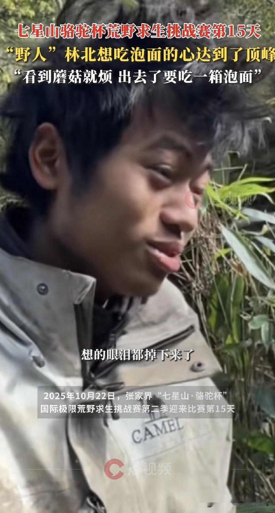 野人林北想泡面想到流泪，原来泡面才是人类终极碳水快乐！
 
在张家界七星山荒野求