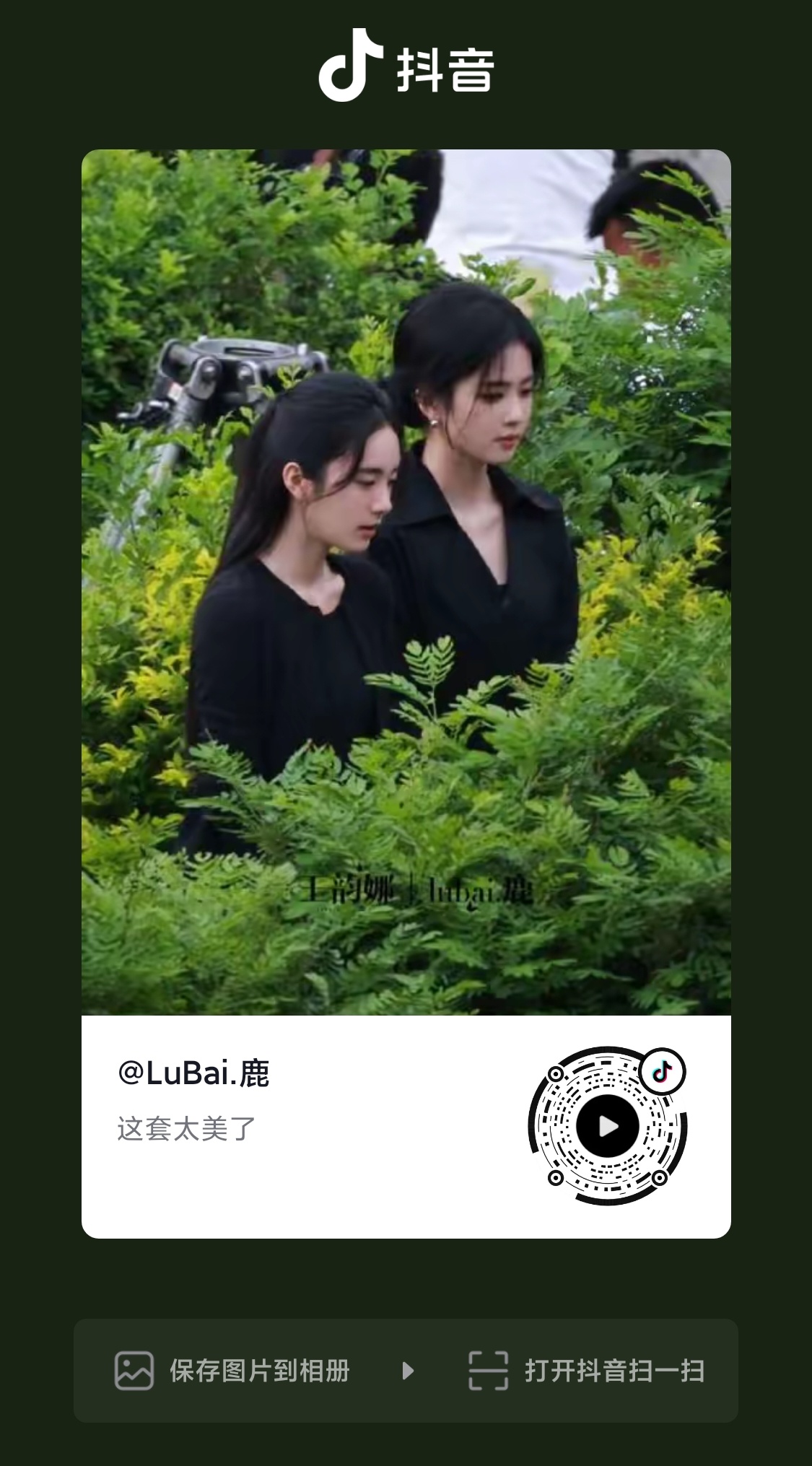 加热加热，这条数据走势不错白鹿王韵娜
