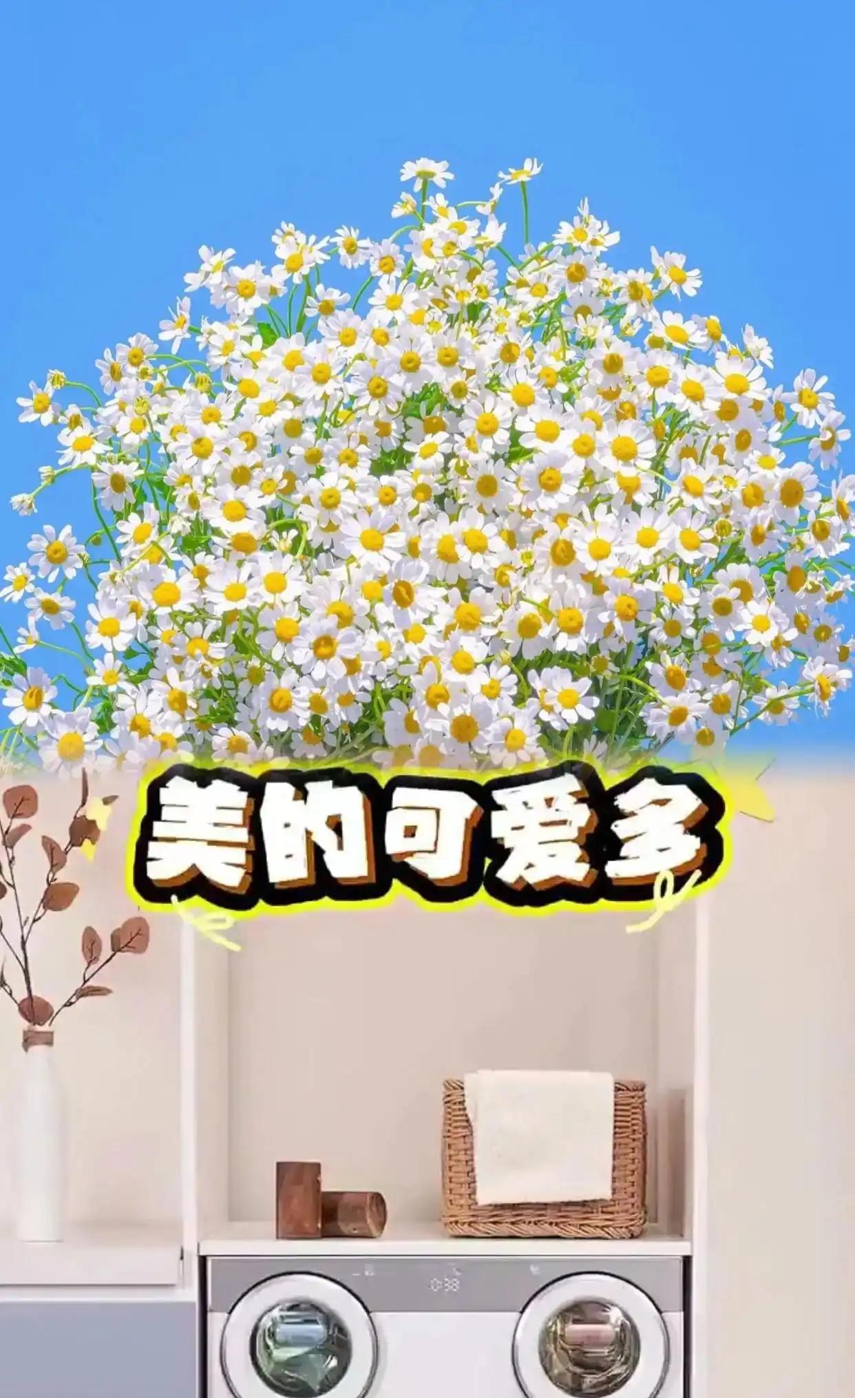 根据行业数据，2024年中国洗烘一体机市场规模已经达到了4279万台，零售额突破