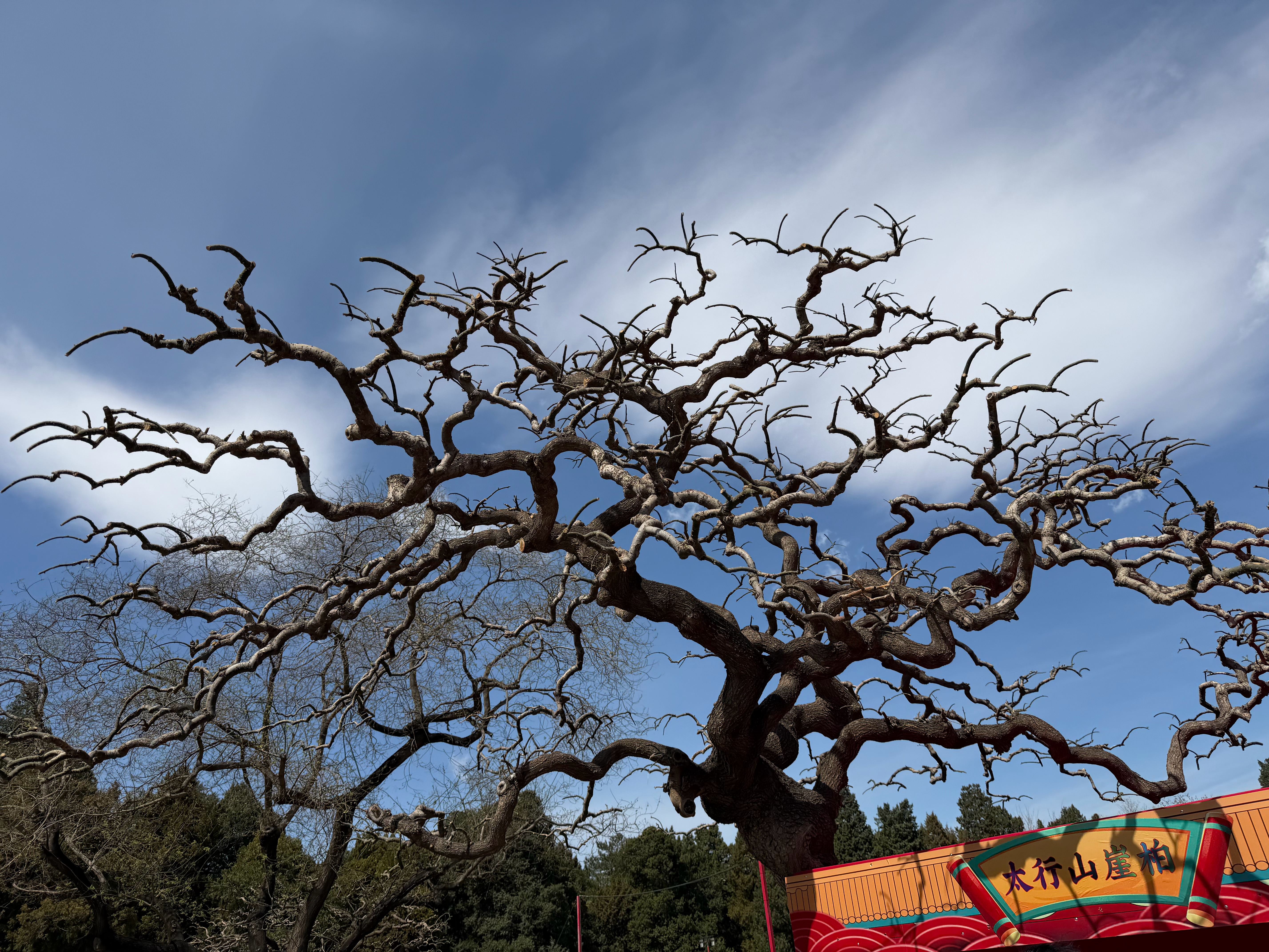 当地时间4月9日，诺基亚美股创2010年4月以来新高，市值近550亿美元，年内涨