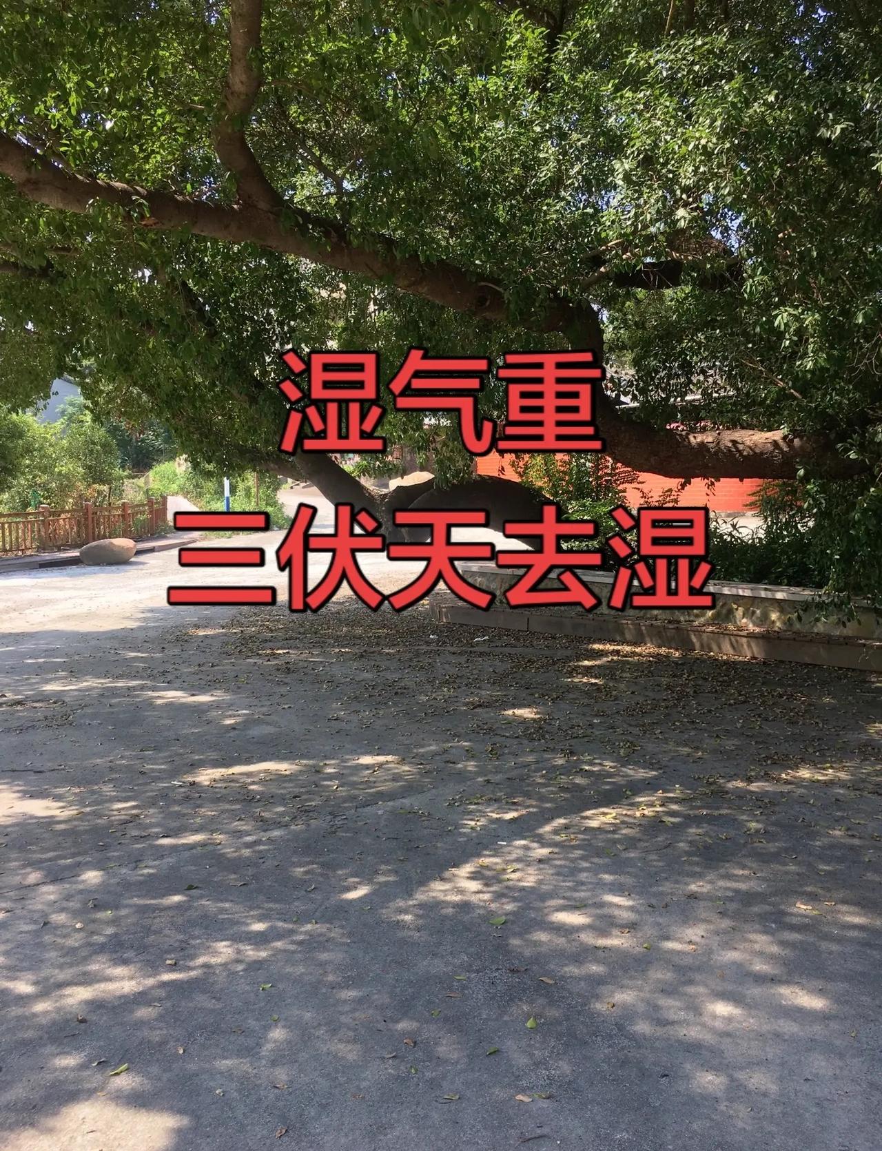 绝境之中见英雄！中国女团1‑2被逼入险境，孙颖莎连续两分守住夺冠火种，王曼昱决胜