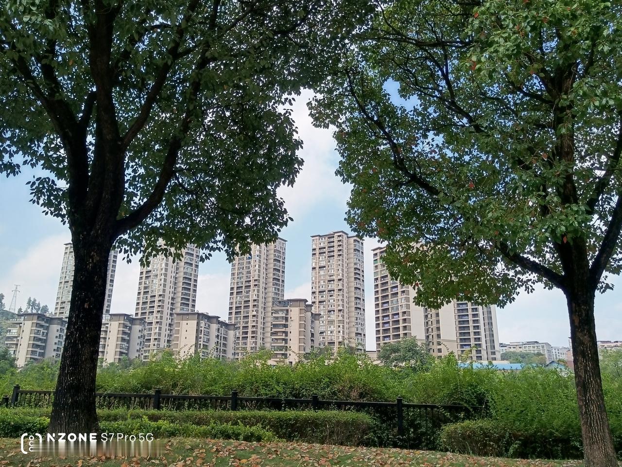 秋日散步随拍