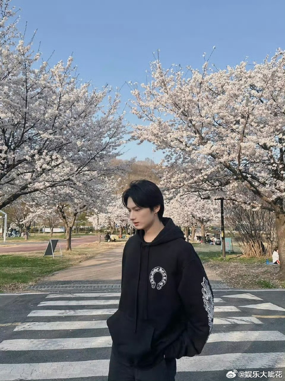 文俊辉樱花照真的好爱樱花拍照吖，去年也有拍，今年也拍了