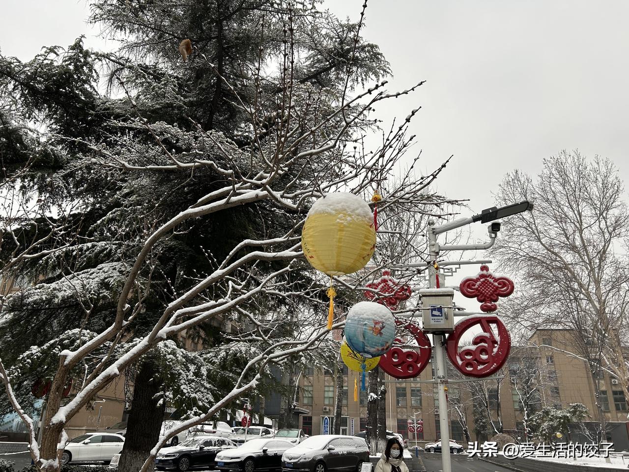 已是春日，北京却飘来一场温柔春雪。窗外雾气轻笼，空气湿润清新，寒意淡去，只剩舒服