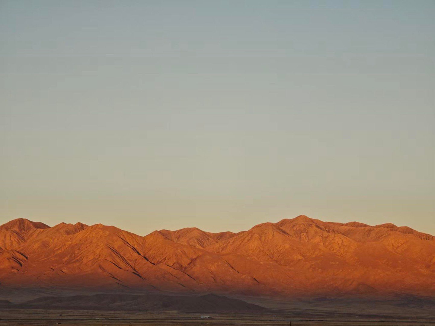 生命树是青海最强文旅宣传片生命树我在青海很想你生命树你不要再going我了啊！这