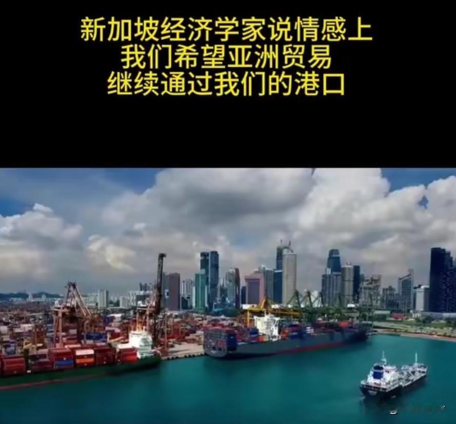 新加坡经济学家说：情感上，我们希望亚洲贸易继续通过我们的港口，但理智告诉我们，中