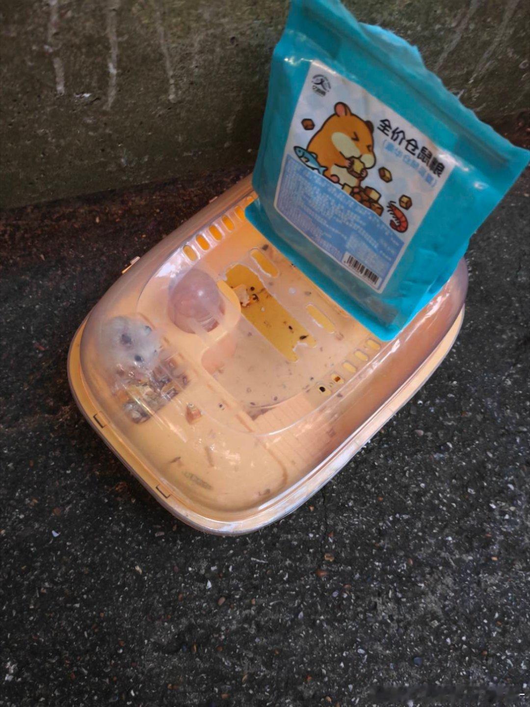 小鼠……为什么要抛弃小鼠