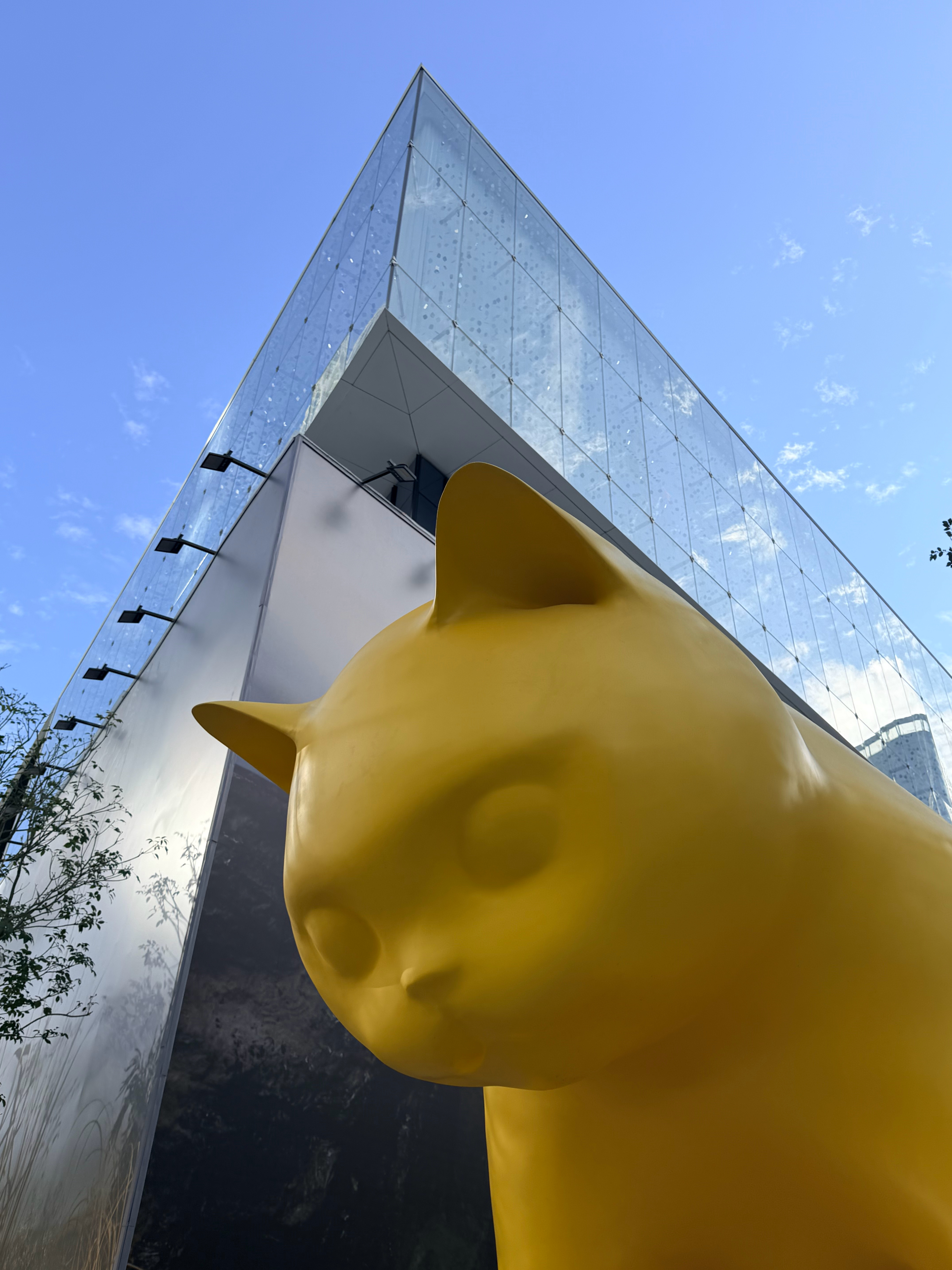 这几天深圳天气真好啊感觉一直有二十多度就很舒服 