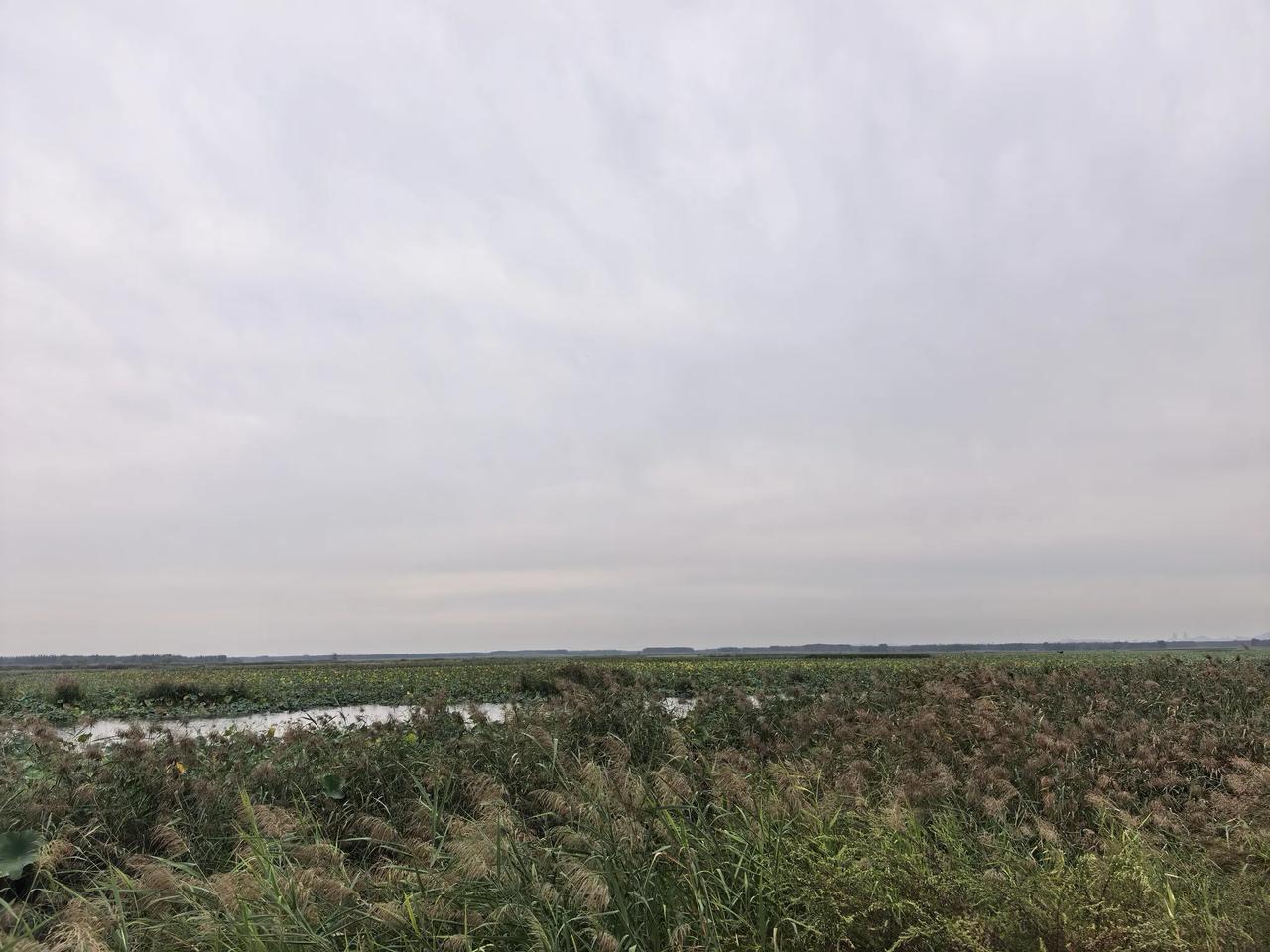 不只是《伟大的长征》，大部分影视剧里的蒋中正，始终是生着气的。
这不是丑化，也不