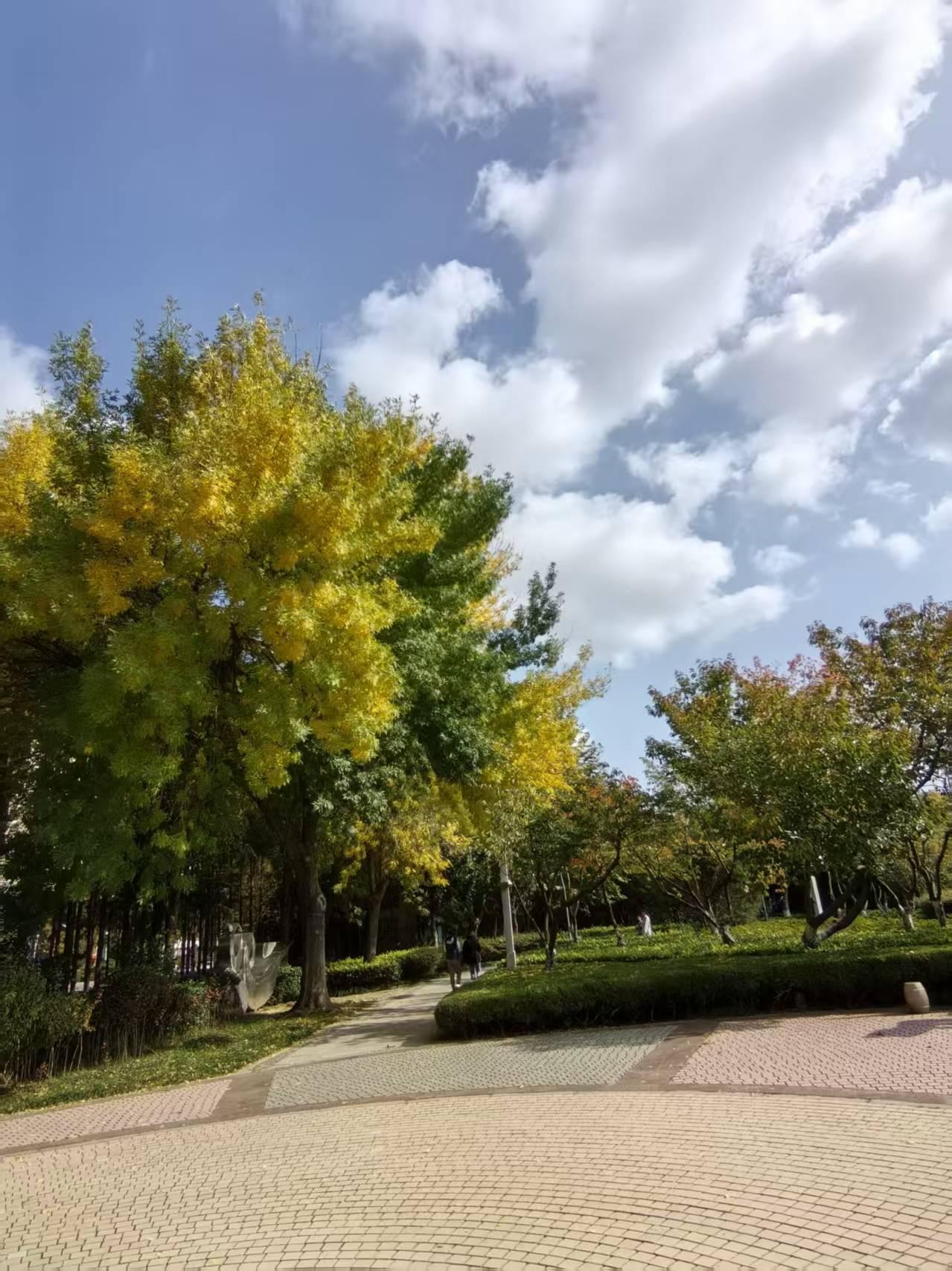 老伴退休以后，我终于过上了饭来张口的幸福生活。

老伴半个月前退休了，很多人劝他