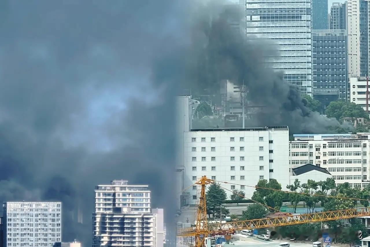 这剧本写得，简直是在侮辱大家的智商！
湖北美术馆这把火，烧得那是相当有“水平”。