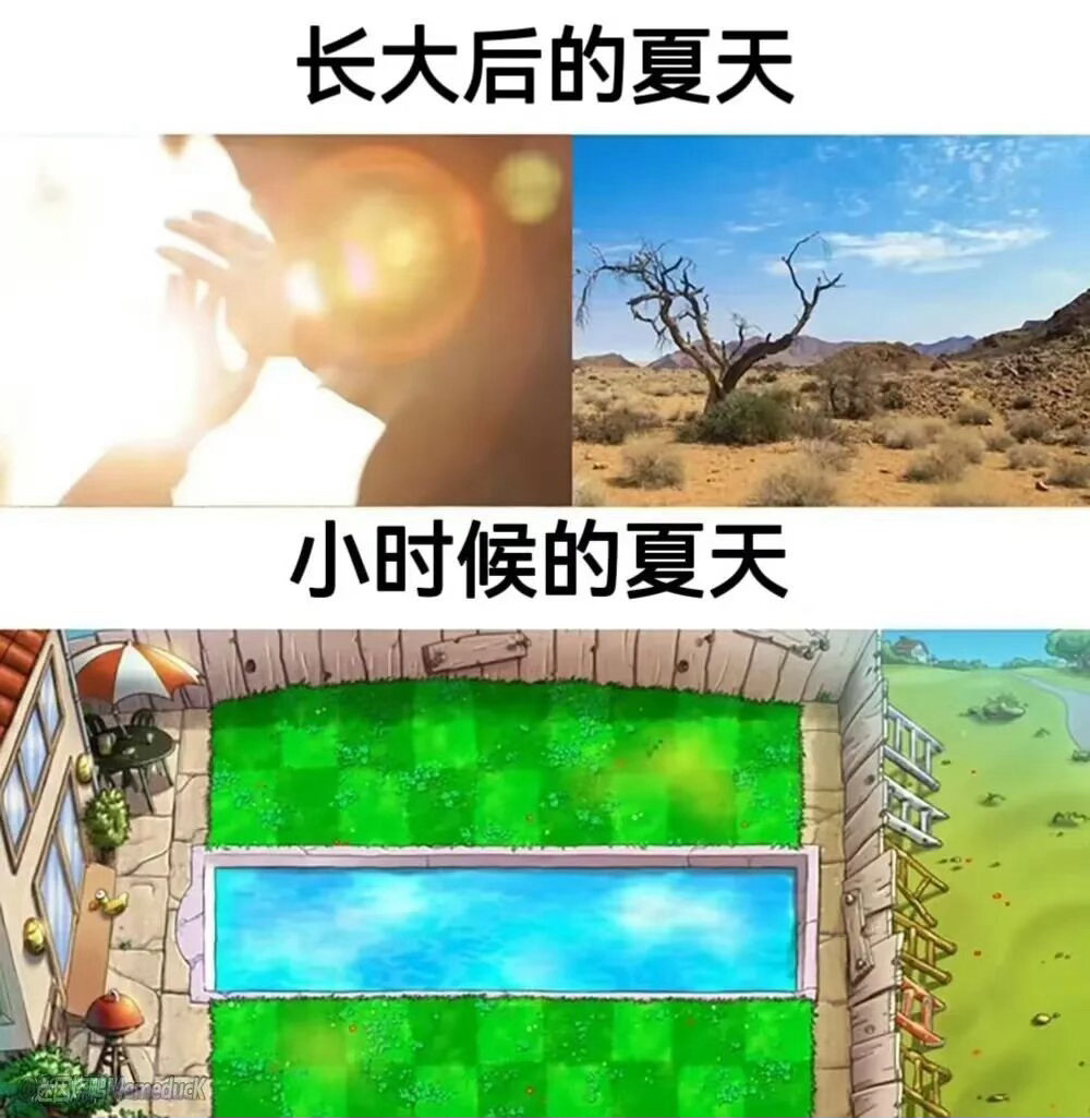 啥原因 ​​​