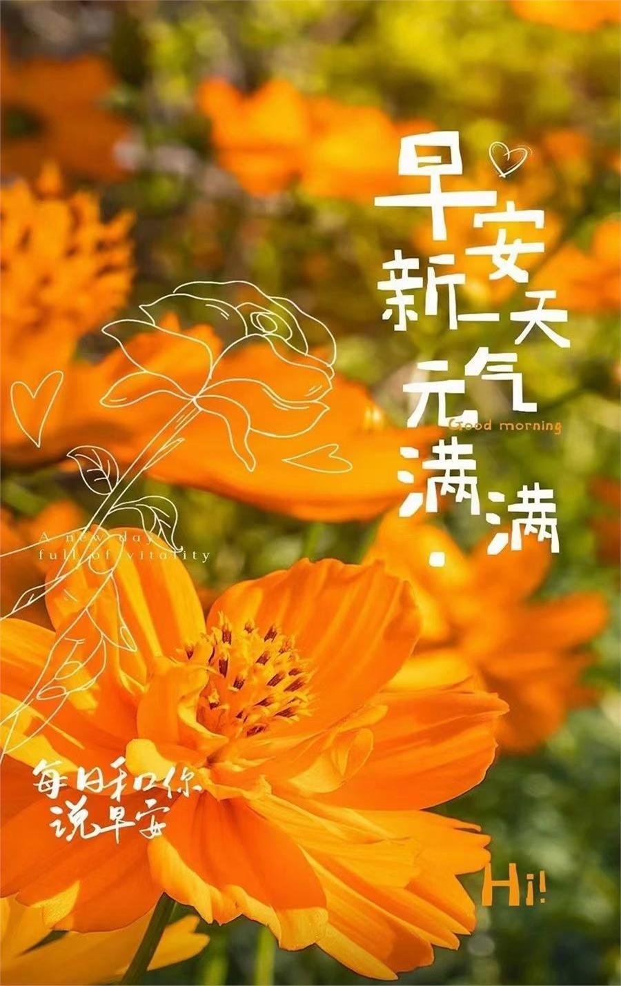早安 早安，不是简单打个招呼，而是提醒自己：今天要认真活。 