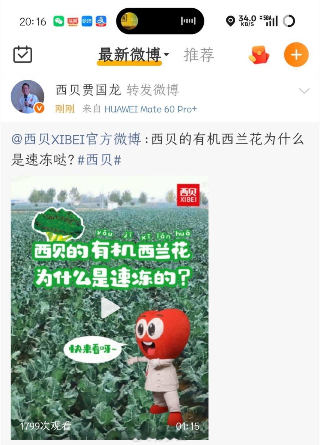 罗永浩解封了，贾国龙也解禁了，微博又热闹了起来，仿佛空气中都充满了快乐的味道PS