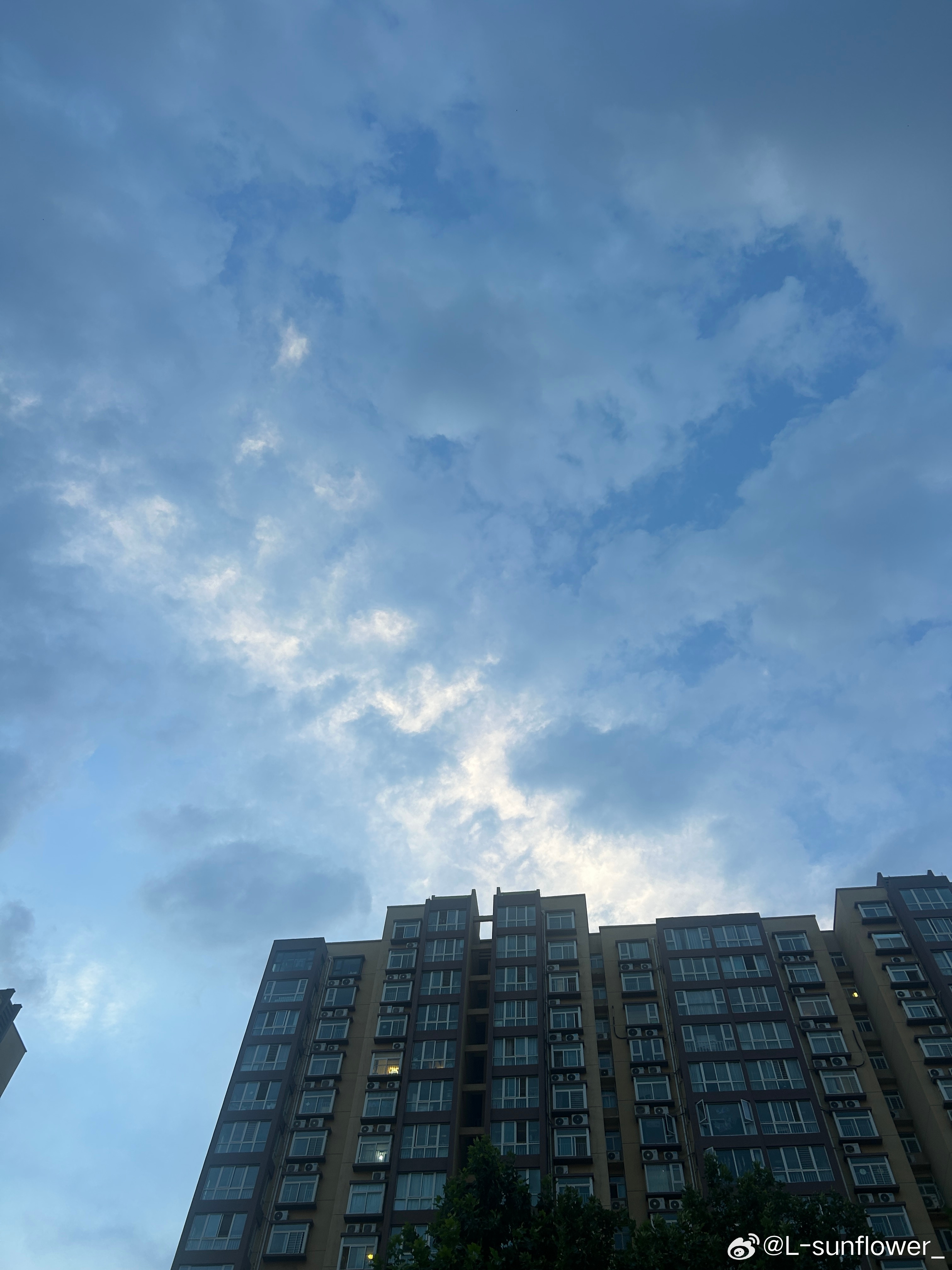 在高温的天气下。抬头看一看蓝色的天空飘着各种各样的云朵☁️也许会悄悄治愈一下心情