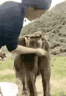 只说不干假把式，你看看人家美女…！👍👍