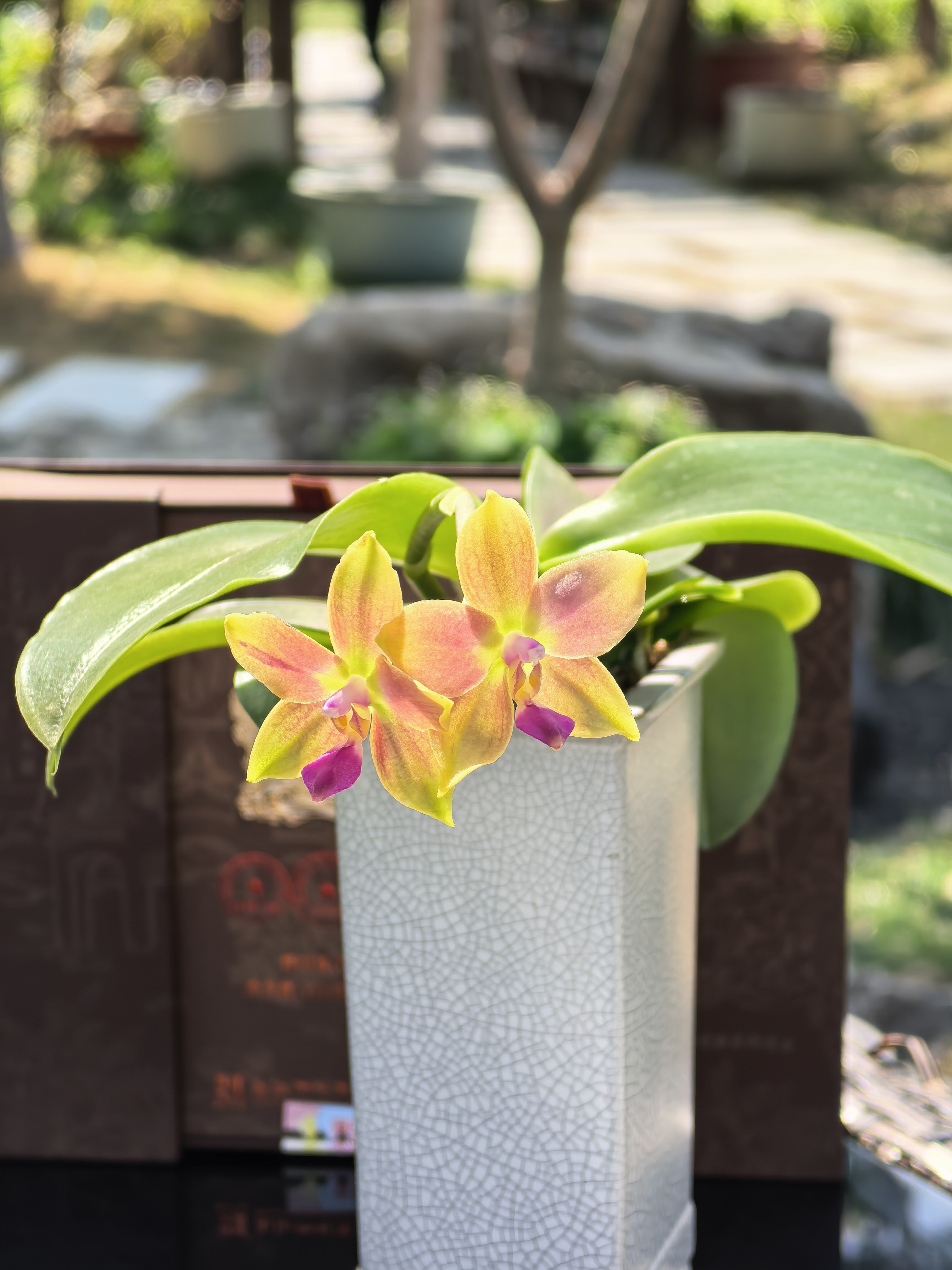 这几天潍坊看到的东西真丰富，除了历史、非遗之外，黄金、鹅肝、吉他都印象深刻，今天