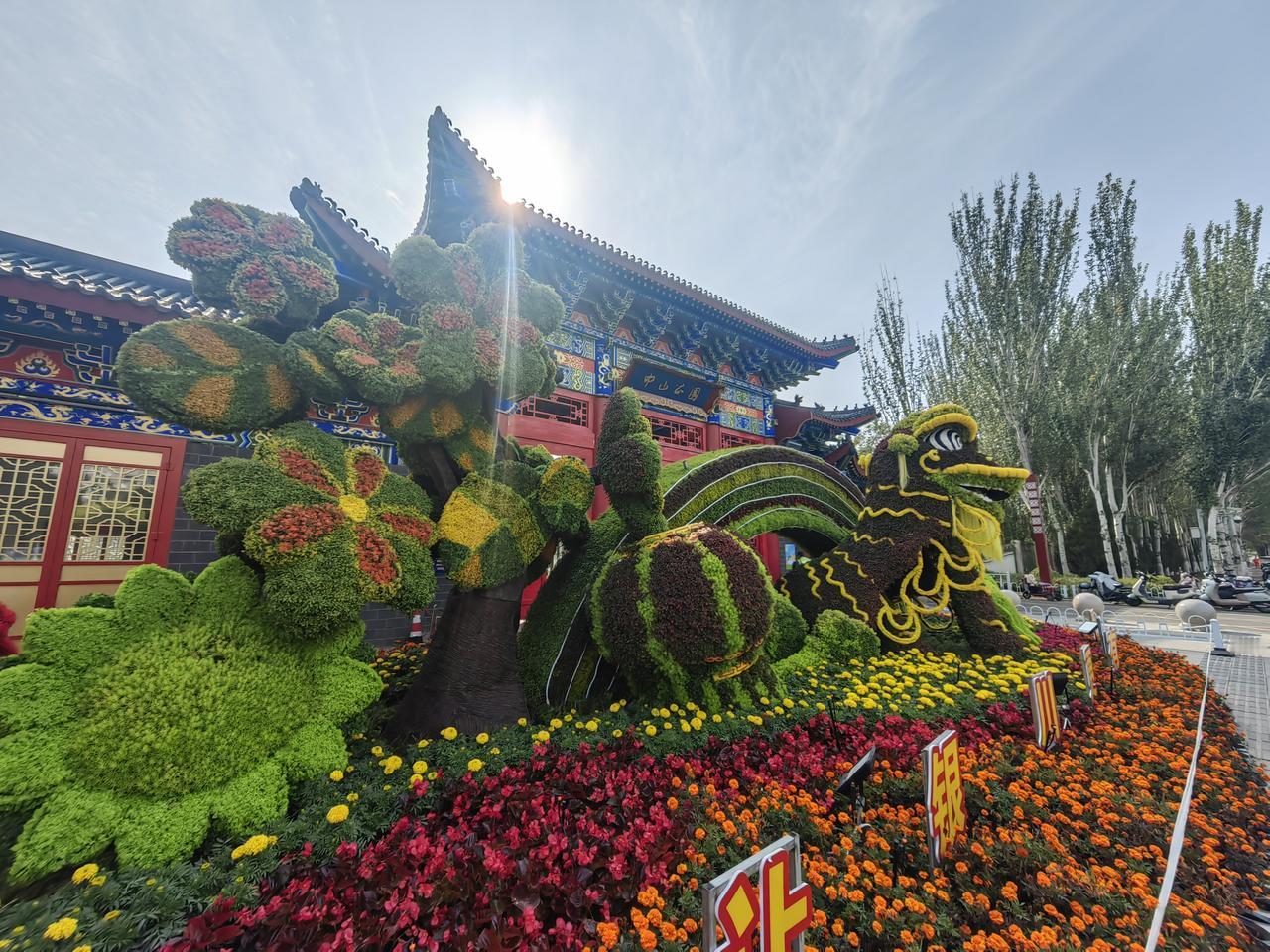 国庆、中秋“双节”临近，去银川中山公园赏菊，简直美翻！今年银川市菊花艺术节超有料