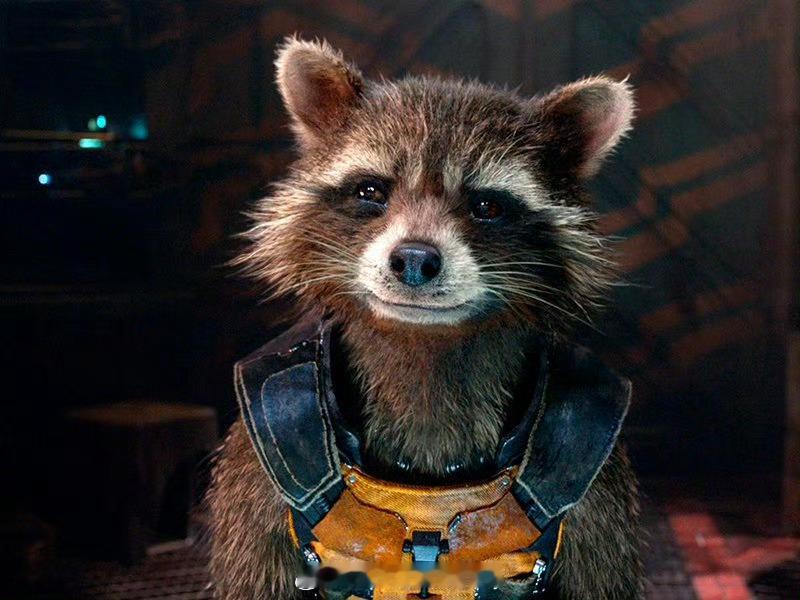 八村塁眼里的火箭火箭vs湖人