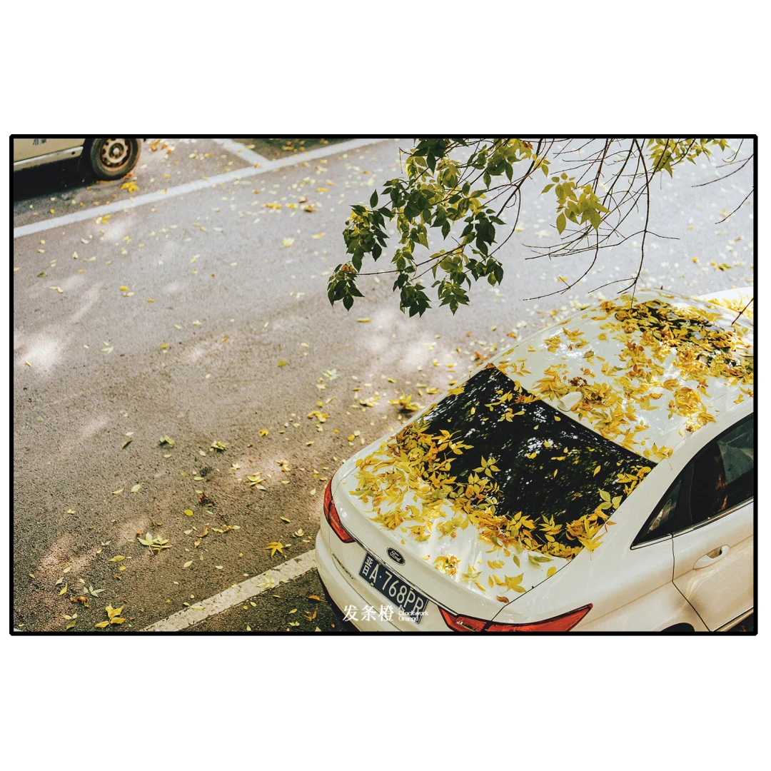 秋风微凉🍂，太原每个街角都美成了画💛