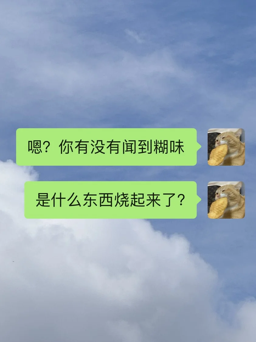 究竟是什么东西烧起来了？