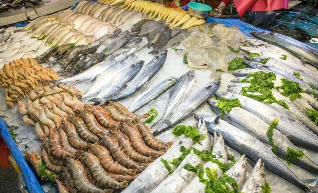 美军方花900万美元买帝王蟹龙虾？看完才懂，我们的日子有多踏实
 
美军方被曝花