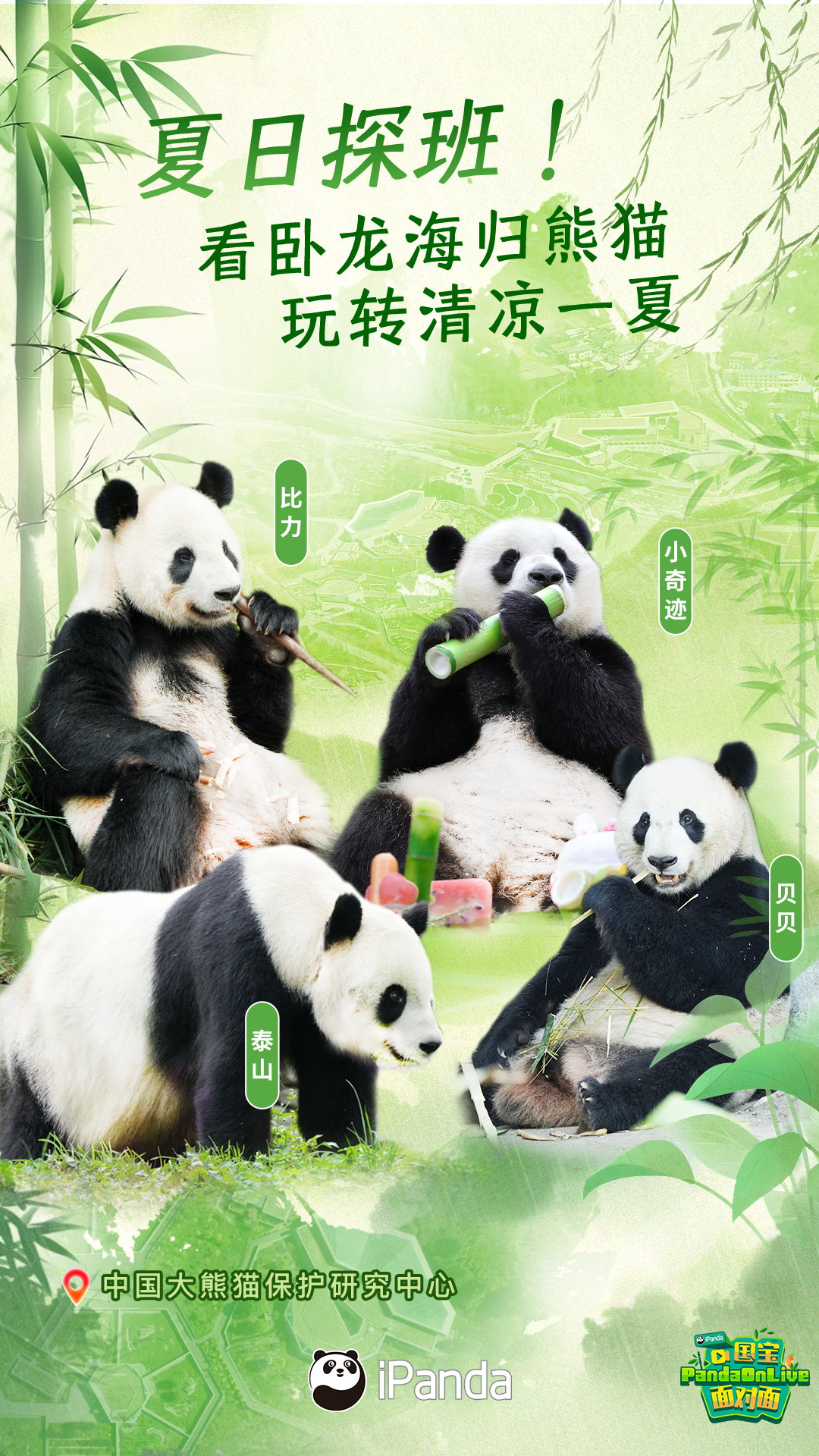 【播出预告：海归大熊猫的夏日清凉派对[期待]】盛夏消暑高能预警！明天（8月7日）