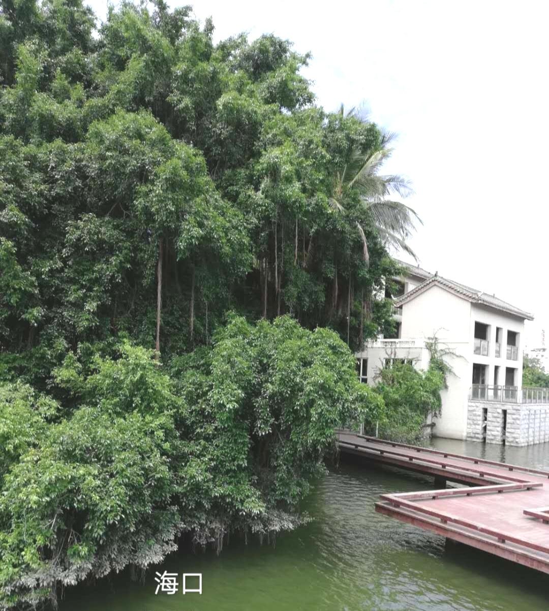 如何评价海南省的国际化办学？
海南省的国际化办学是顺应自贸港发展的明智之举。随着
