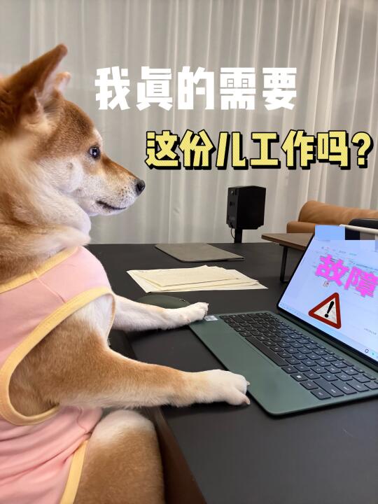 我真的需要这份工作吗