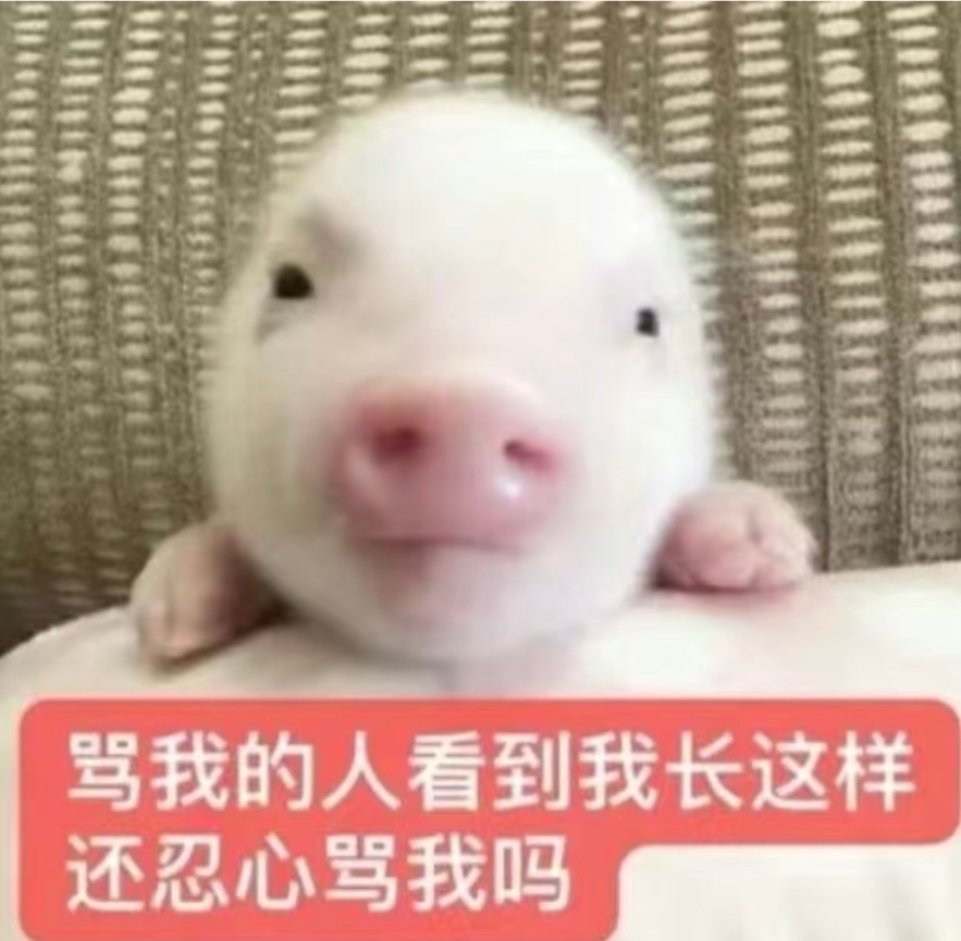zs了不回是鼠么意思啊我要哭了 