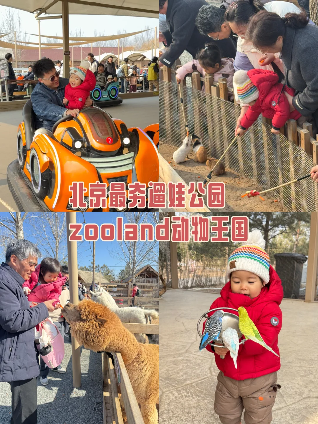 帝都最夯遛娃公园！！！