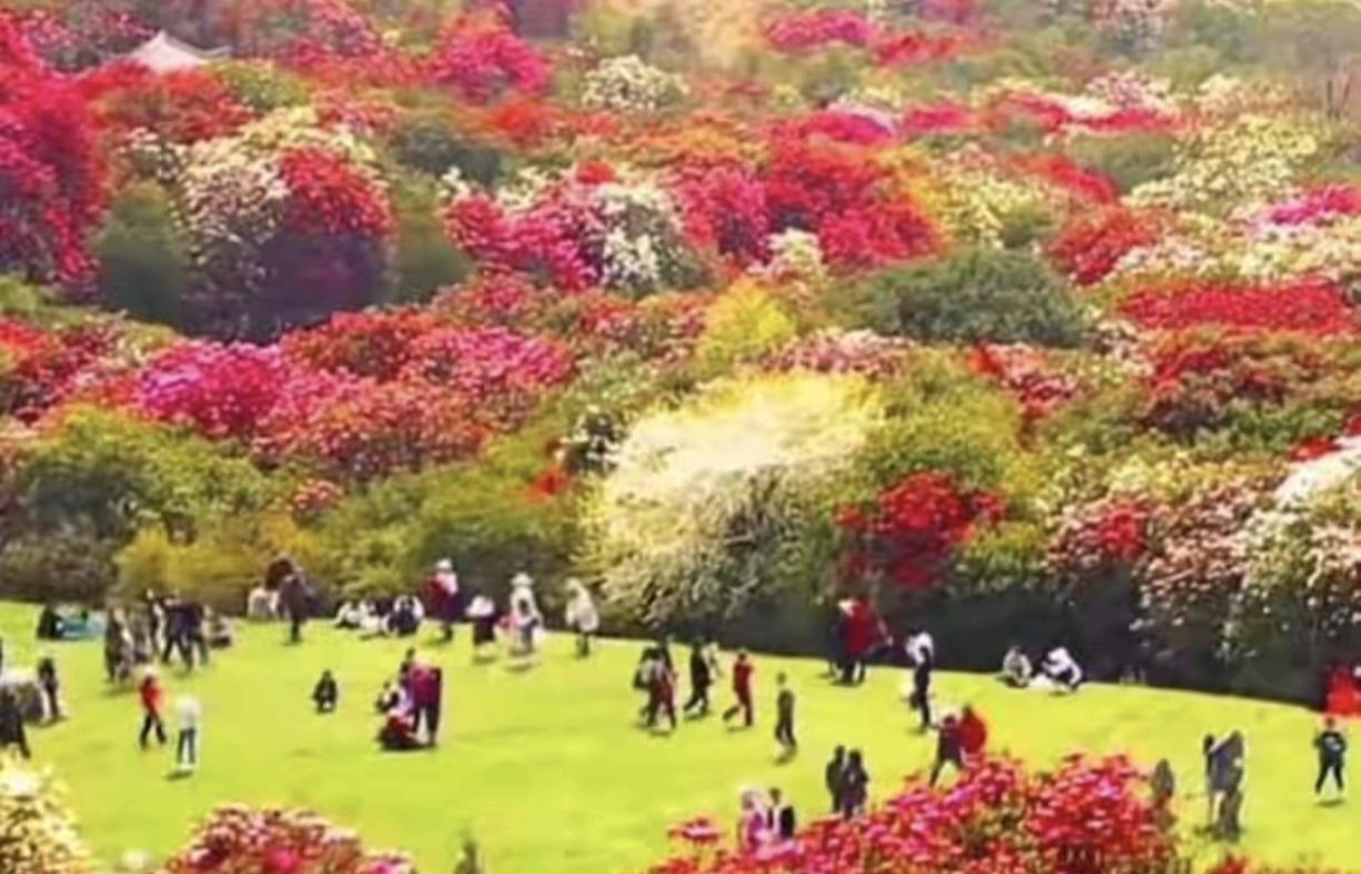 十年以后，50后、60后面对的困境

十年后的今天，曾经叱咤风云的50后、60后