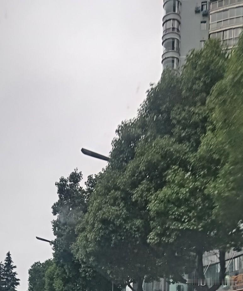 对比古时候的日子，现在生活真的舒服太多了。以前出门全靠步行、马车，赶路要好几天，