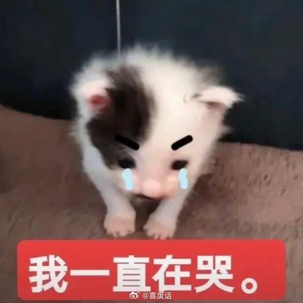 这次去了安慕希西安线下的你们不用去赛里木湖了你们没白活啊啊啊！！今天好幸福啊隔着