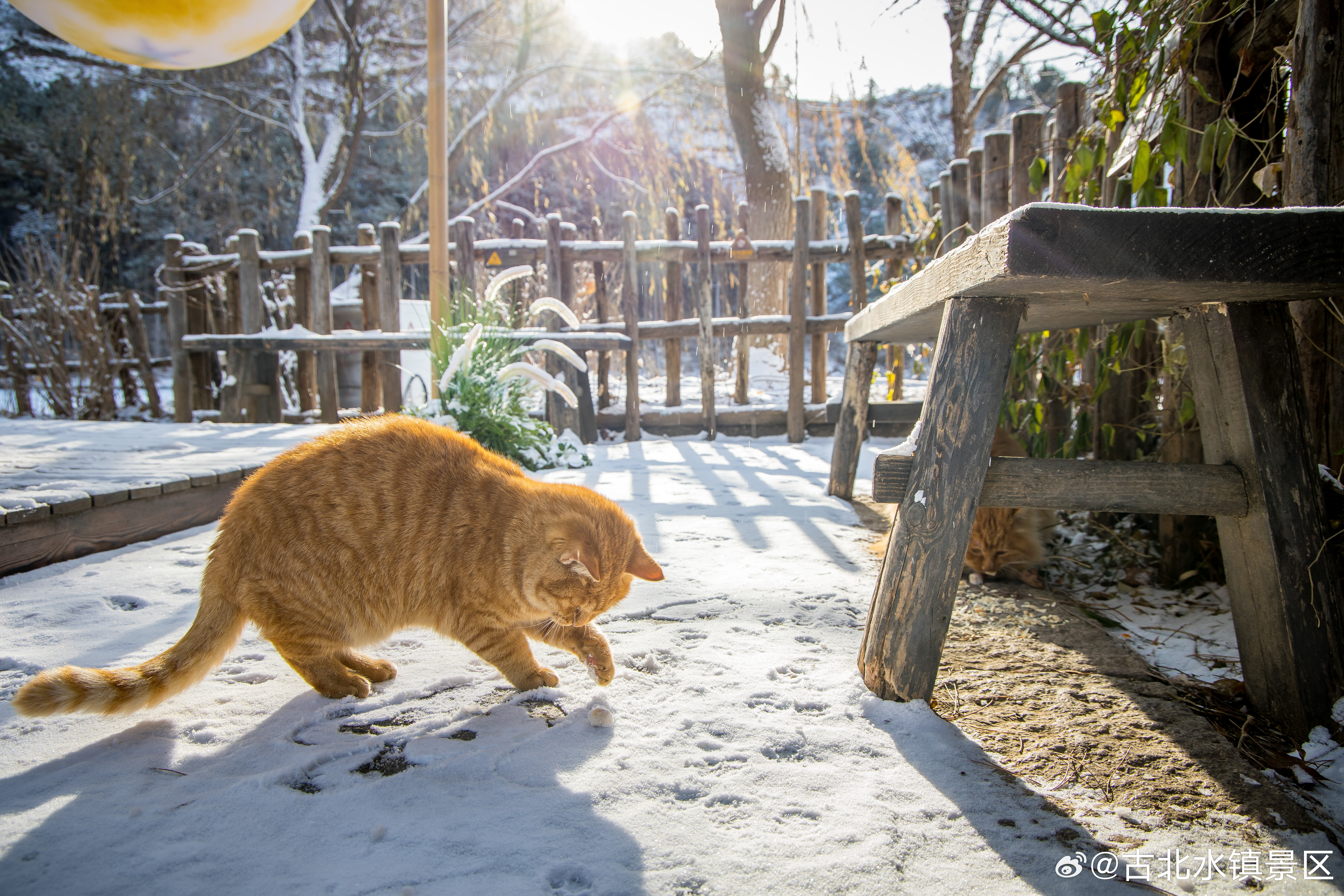 小事顺心，大事如愿心里有光，步履不停早安，宝子们～#古北水镇# #司马台长城# 