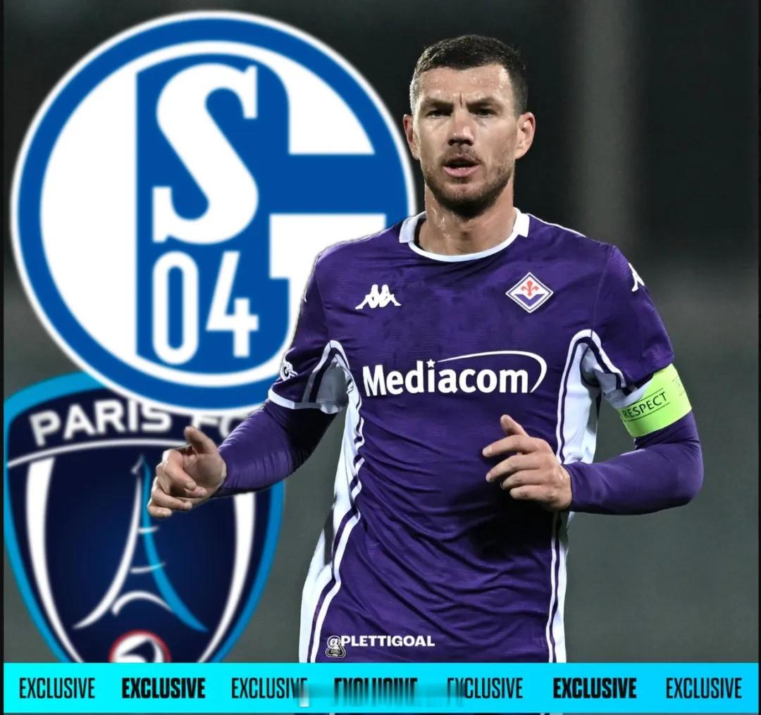 德国天空体育消息，沙尔克04正探索本月收购哲科，并且他们已经开启了实质性谈判。根