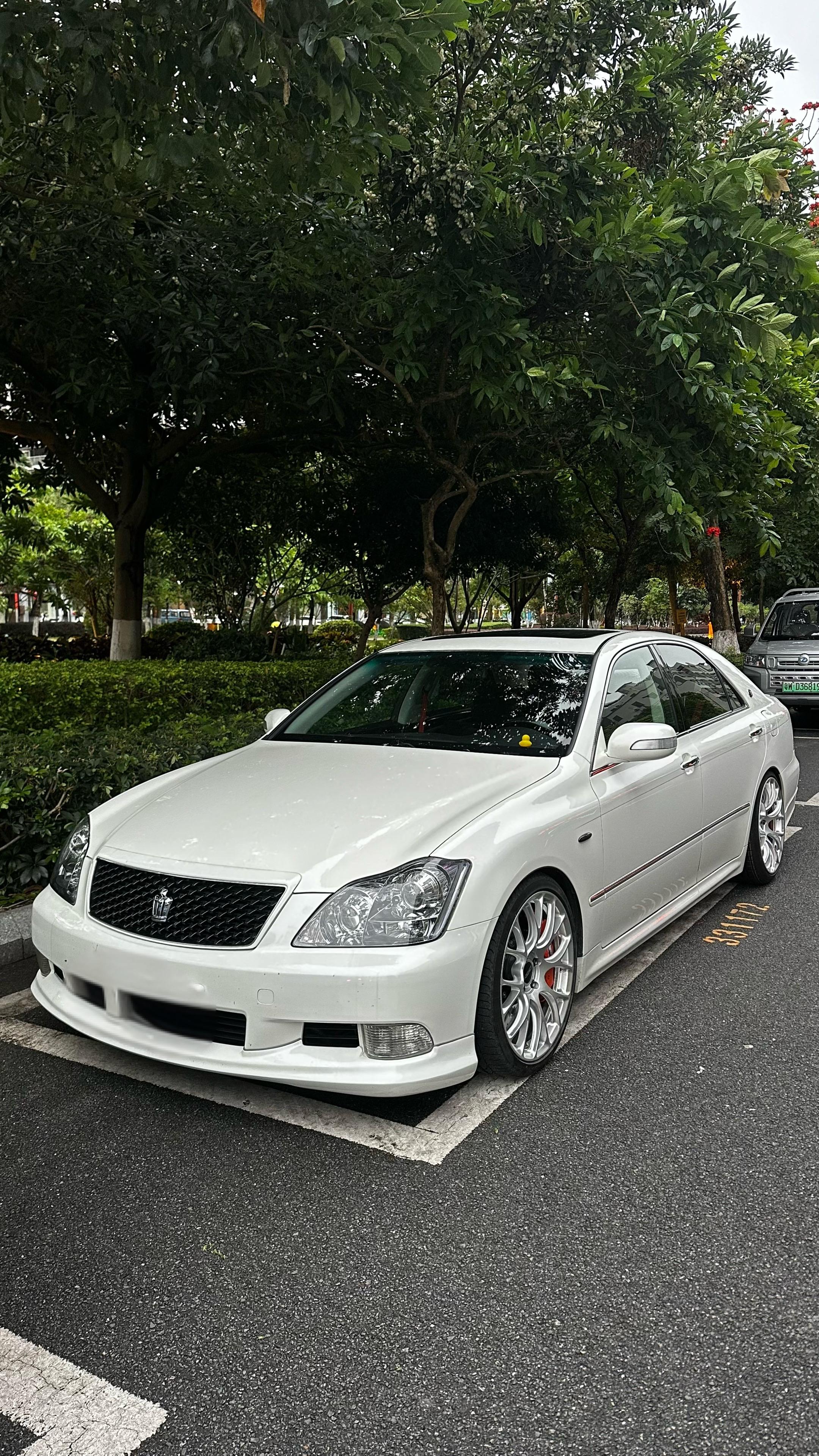 全网最素的12代目