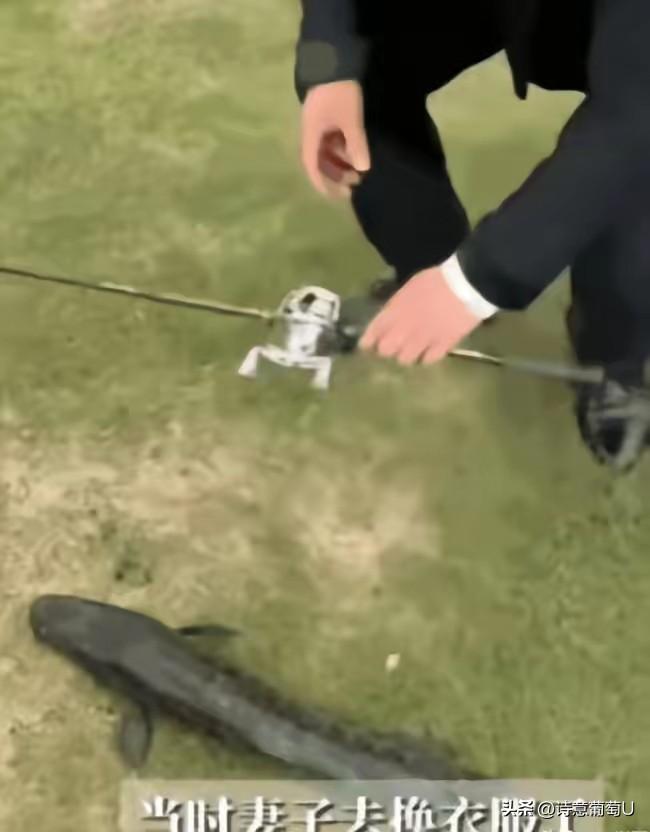 “这简直是缘分天注定啊！”在浙江舟山，新郎拍婚纱照的间隙溜出去钓鱼，结果3分钟就