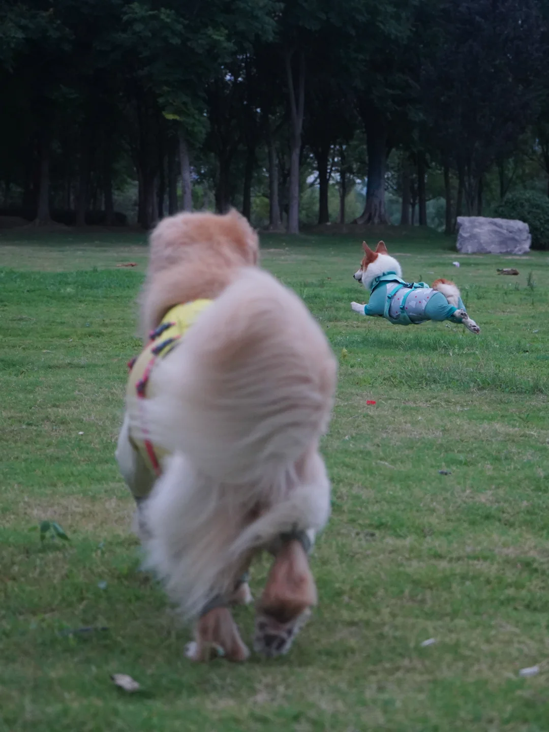 图一优雅姐和显眼包妹 图二哈哈哈两个