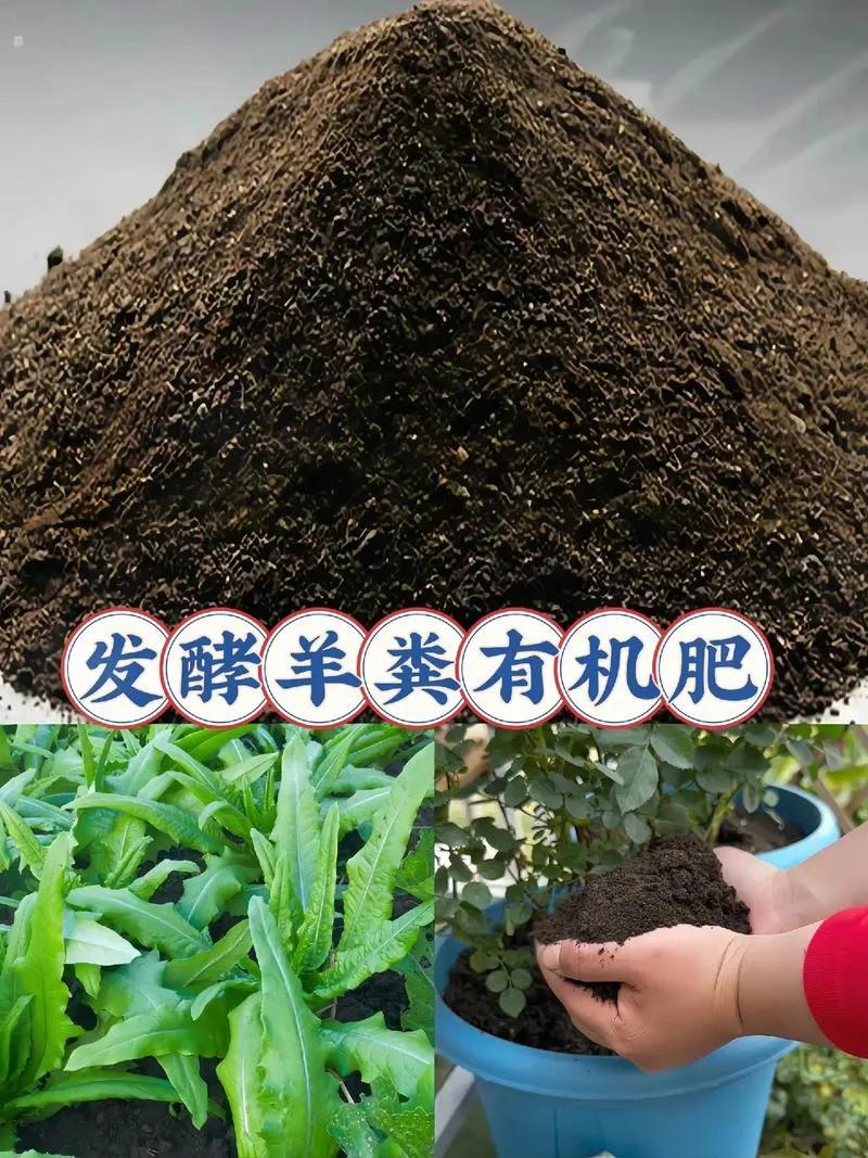 土壤改善用什么肥料?改善土壤可以用有机肥，如堆肥、厩肥、绿肥。堆肥和厩肥富含有机