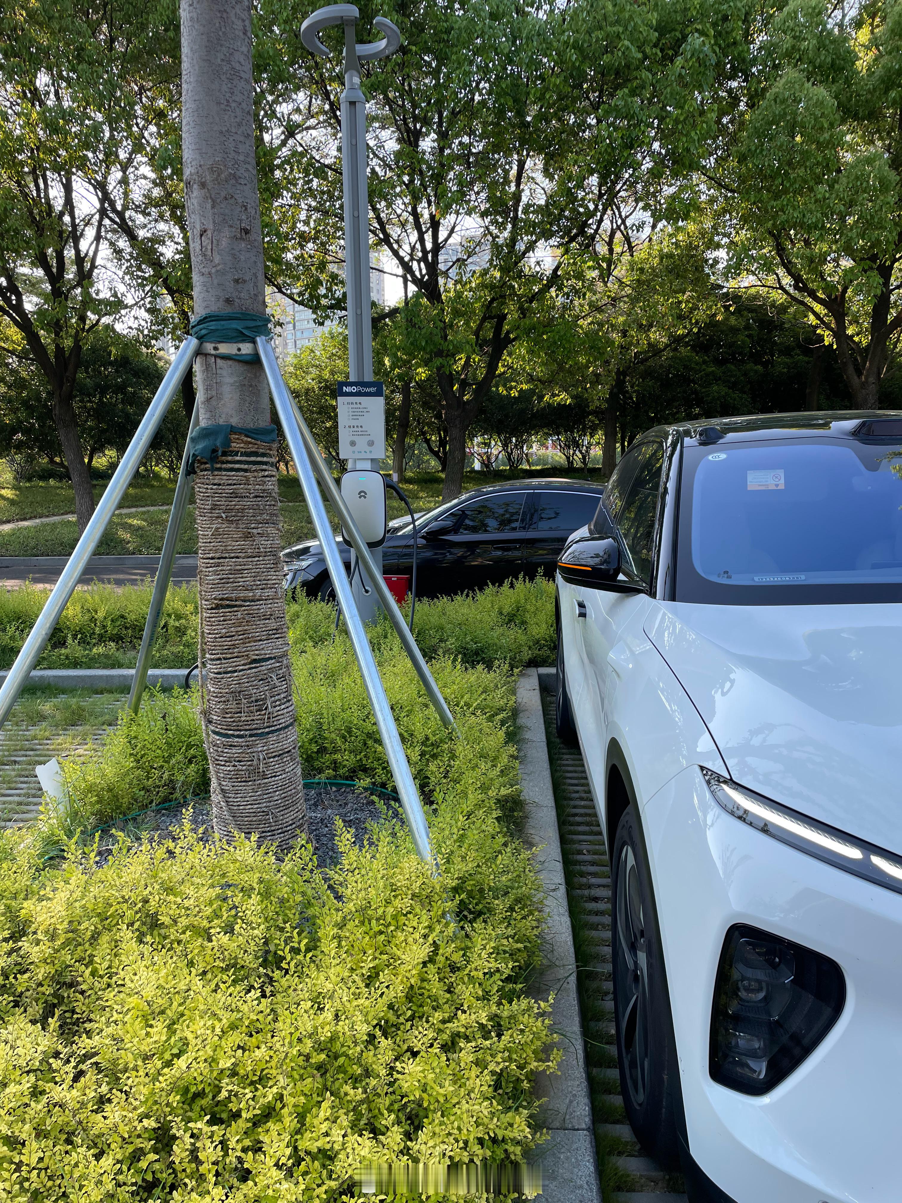 #自动泊车# 来来好像对这种造型有排斥：带三维支撑杆的灯柱无法自动泊车​​​
