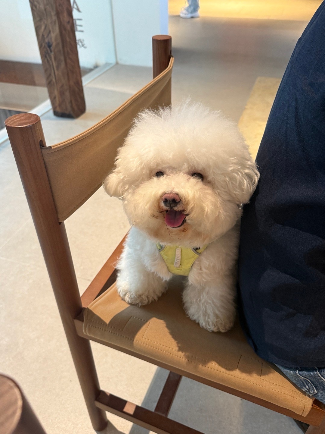 怎会有如此可爱的kuku 