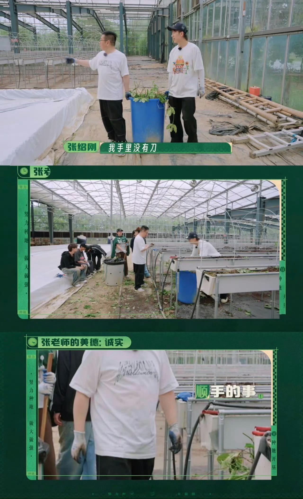 十个勤天对大棚就像我对我心肝别人搞农业看数据，十个勤天搞农业全凭“看不顺眼”。给