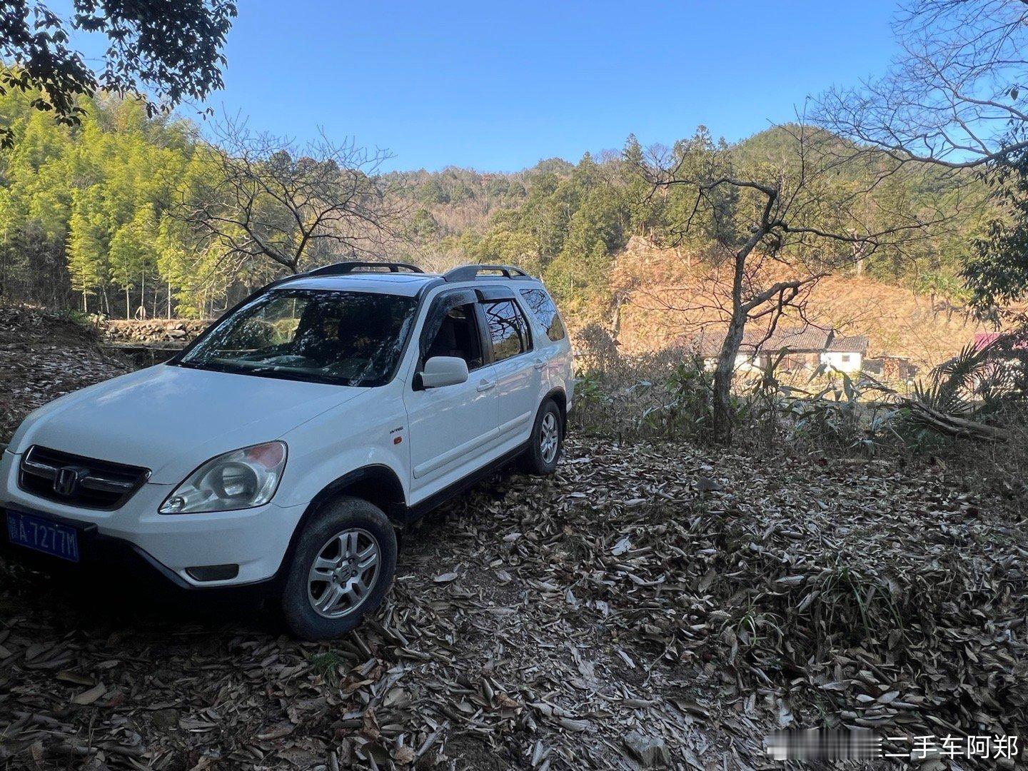 今天越野路线，风景不错，风水宝地[喵喵][喵喵][喵喵]  