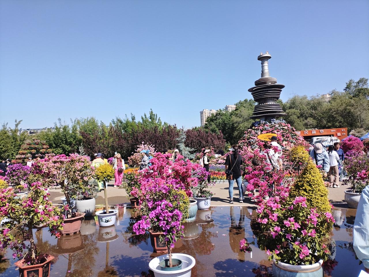 随手拍公园美景